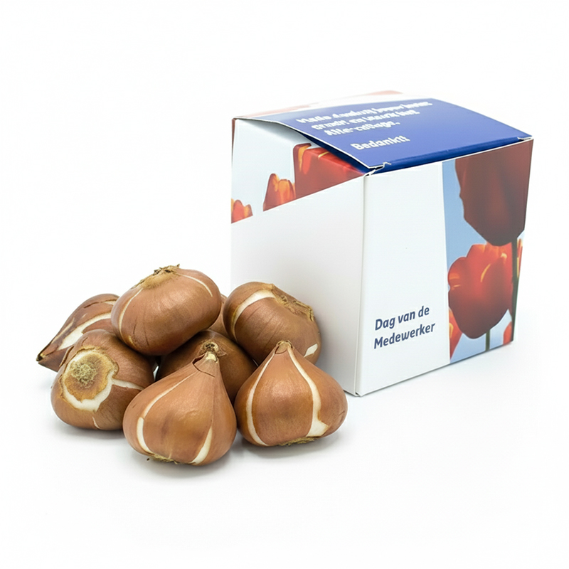 Blomsterløg som gave